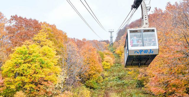 กระเช้าลอยฟ้าฮักโกดะ (Hakkoda Ropeway) ทริปตามล่าใบไม้แดงที่โทโฮคุ (Tohoku)