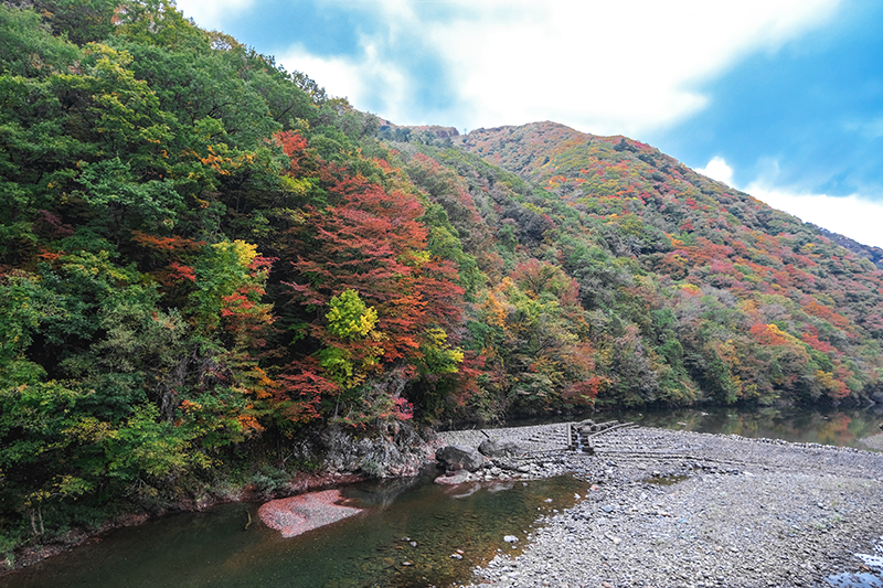 ทริปตามล่าใบไม้แดงที่โทโฮคุ (Tohoku) Dakigaeri Valley