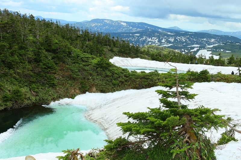 Spring in Tohoku : ใบไม้ผลิที่โทโฮคุ