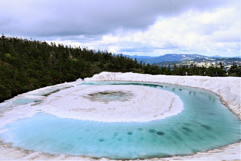 Spring in Tohoku : ใบไม้ผลิที่โทโฮคุ