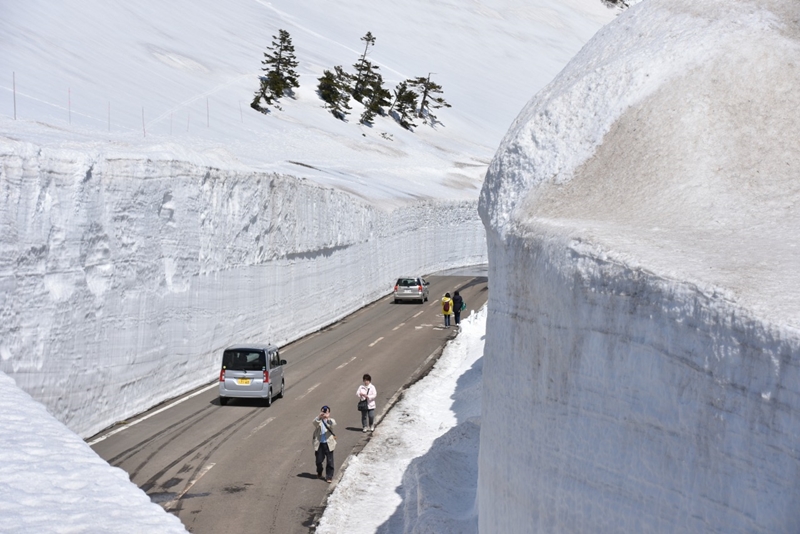 Spring in Tohoku : ใบไม้ผลิที่โทโฮคุ