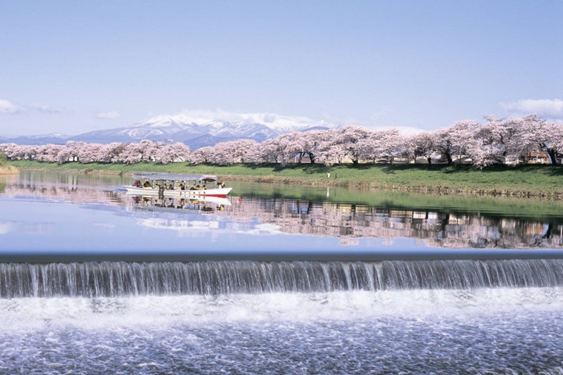 Spring in Tohoku : ใบไม้ผลิที่โทโฮคุ