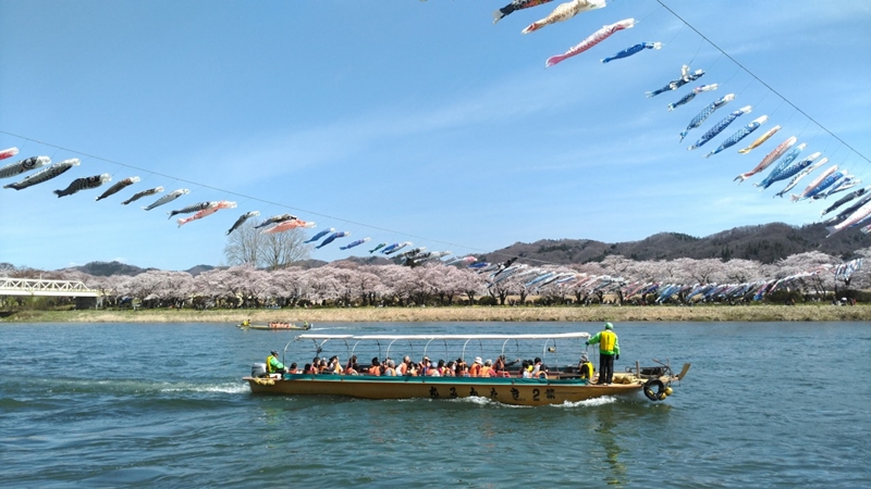 Spring in Tohoku : ใบไม้ผลิที่โทโฮคุ